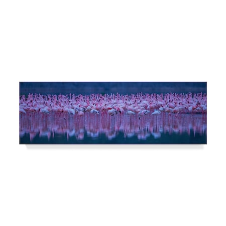 David Hua 'Flamingos' Canvas Art,8x24